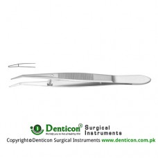 Barraquer Cilia Forcep Smooth Jaw Stainless Steel, 10.5 cm - 4"
